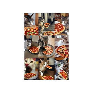 Cats Love Pizza - Premium Museum Quality Poster
