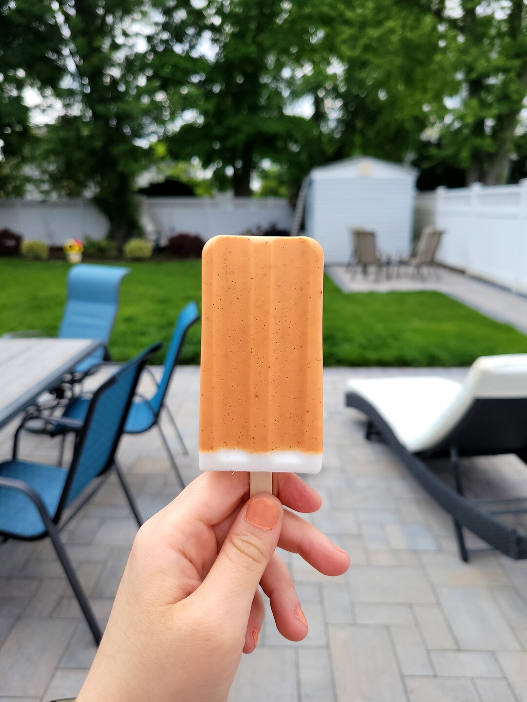 Creamsicle orange and Vanilla Etsy