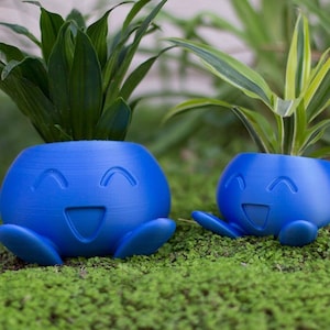 May include: Two blue, smiling face planters with green plants. The planters have a round shape with a smiling face design and small feet. The plants have long, green leaves. The planters are sitting on a bed of green moss.