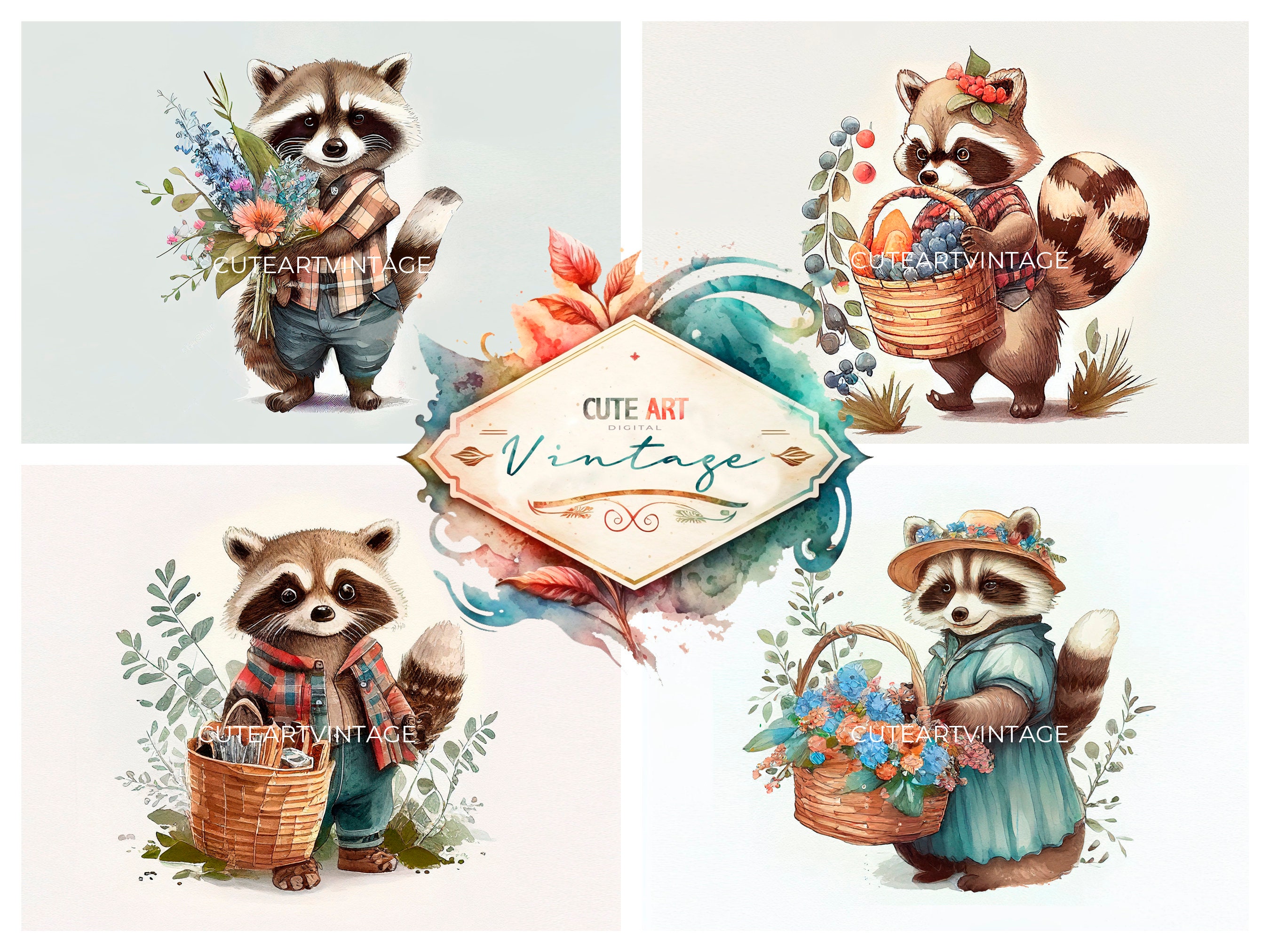 raton laveur aquarelle, illustrations de ratons laveurs vintage, images de ratons laveurs aquarelle, scrapbooking ratons laveurs, clipart ratons laveu