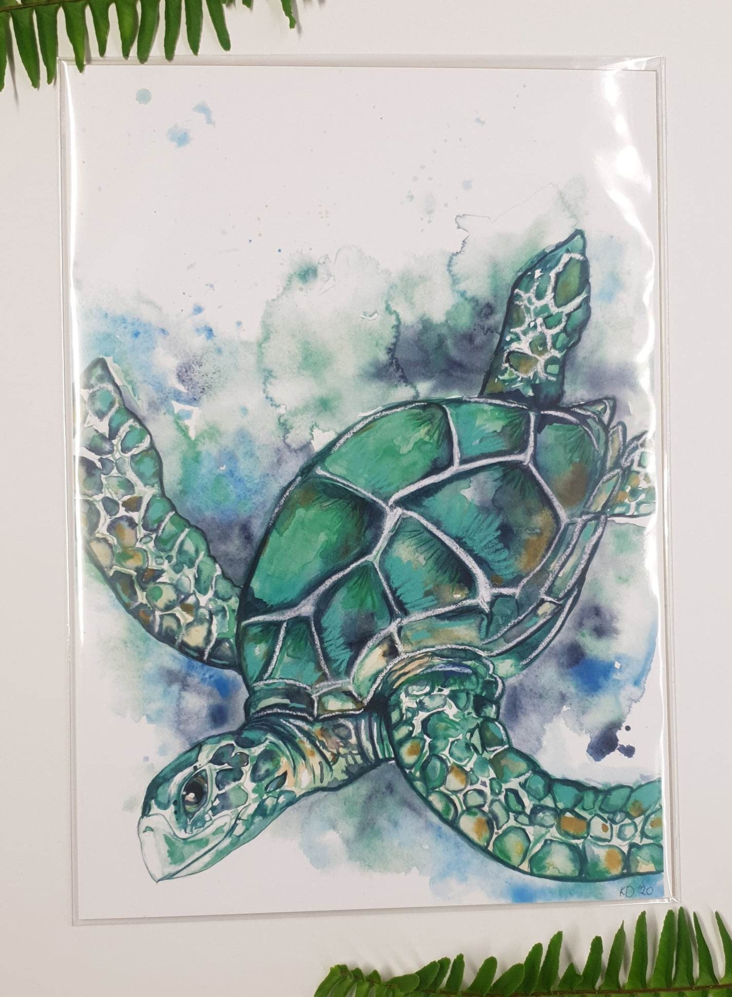 Art Print A4 Australian Sea Turtle - Etsy