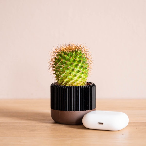 Venus notre petit cache pot design et élégant idéal pour un cactus ou une petite plante verte, fabriqué en France