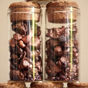 Op de afbeelding: Twee glazen potten gevuld met bruine decoratieve items, afgesloten met kurken stoppers. De cilindervormige potten staan op een kurken basis. De inhoud lijkt te bestaan uit gedroogde botanische of decoratieve elementen.
