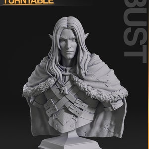 Puede incluir: Un busto de un elfo en impresión 3D de color gris, con cabello largo, que lleva una capa forrada de piel y un arnés de cuero. El busto está montado sobre una base cuadrada. La palabra "BUST" está impresa verticalmente en el lado derecho de la imagen.