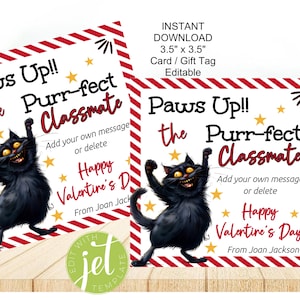 Etichetta regalo/biglietto, San Valentino perfetto, apprezzamento, compagno di classe perfetto, apprezzamento del compagno di classe, biglietto con gatto modificabile con download immediato, San Valentino