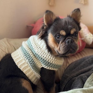 Può includere: Un cagnolino indossa un maglione fatto a mano all'uncinetto. Il maglione è bianco con strisce azzurre. Il cane ha il pelo marrone e beige ed è seduto su un letto con una trapunta beige.