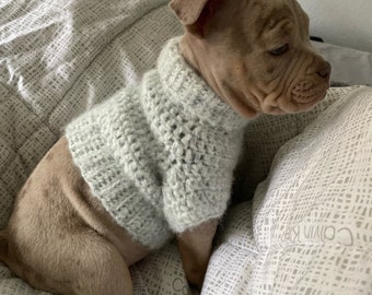 May include: A light brown puppy wearing a light gray knitted sweater sits on a white and gray patterned bed.