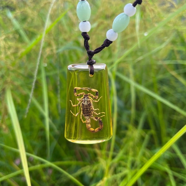 Yellow Scorpion Clear Necklace,Real Scorpion in Resin Jewelry,Insect specimen resin pendant,Oddities, Curiosities
