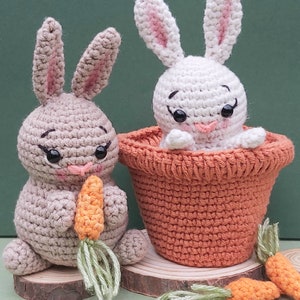 Può includere: Due coniglietti all'uncinetto, uno marrone e uno bianco, con occhi neri e nasi rosa. Il coniglio bianco è seduto in un vaso arancione all'uncinetto. Entrambi i coniglietti tengono carote all'uncinetto.