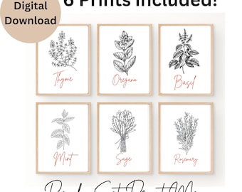 Set von 6 Kräuterdrucken, botanische Linie Kunst, Küchendekor, druckbare Kunst der Küche, Küchenwandkunst, druckbare Kräuterkunst, botanischer Druck