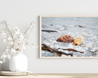 DIGITAL DOWNLOAD Sanibel Island, Florida Print, Florida Wall Art, Florida Wall Photo, Florida Wall Decor, Florida Beach Print, Sea Shells