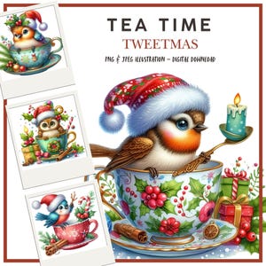 Clipart numérique hiver, jolis oiseaux de Noël, illustrations pour scrapbooking, fabrication de cartes, journaux indésirables, JPEG, travaux manuels en papier à faire soi-même