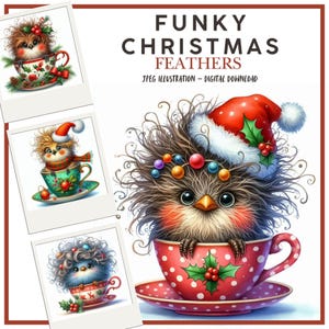 Digitaler Winter Clipart, schrullige Weihnachtsvögel, Illustrationen für Scrapbooking, Kartenherstellung, Junk Journals, JPEG, Papier Handwerk DIY
