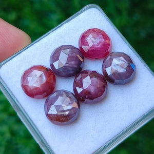 Könnte beinhalten: Sechs runde, facettierte Edelsteine in einer durchsichtigen Kunststoff-Präsentationsbox mit weißer Schaumstoffeinlage. Die Steine zeigen verschiedene Schattierungen von tiefem Rot, Magenta und Dunkelviolett mit einem geometrischen Schliff.
