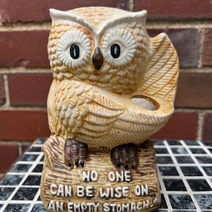 Op de afbeelding: Een keramieken uilbeeldje in beige en bruine tinten, zittend op een boomstronk. De uil heeft grote, zwarte ogen en een kleine opening op zijn vleugel. De basis luidt: "NIEMAND KAN WIJS ZIJN MET EEN LEEGGE MAAG."