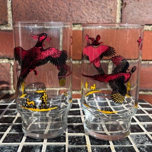 Set of 2 Vintage Pheasant Hunting Glasses
