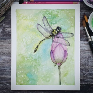 May include: Watercolour painting of a dragonfly on a pink lotus flower bud. The dragonfly has transparent wings and a yellow and black body. The background is a soft green and blue watercolour wash.
