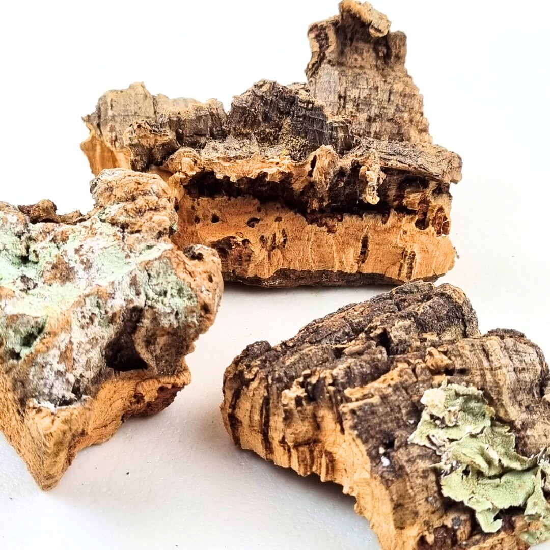 Natural Cork Bark Pieces for Terrariums Rustic Plant Decor, Craft Supplies Etsy UK