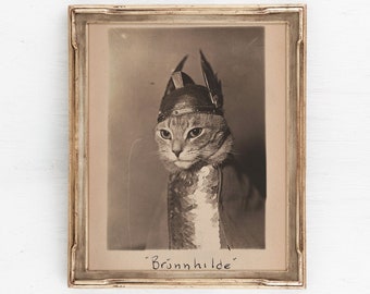 Valkyrie Brunnhilde Cat Vintage Photo Print, Antique Cat Photo Art, Cat Wall Art, Historic Wall Decoration, Cat Portrait, Digital Download