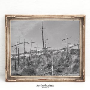 Gothic Cross Cemetery Photo Print , Vintage Looking Wall Art, Dark Academia Printable, Cemetery Art, Digital Download