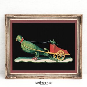 A Parrot Pulling A Chariot Driven By A Cricket Vintage Print, Antique Animal Wall Art, Rustic Farmhouse Decor, Aesthetic Digital Download