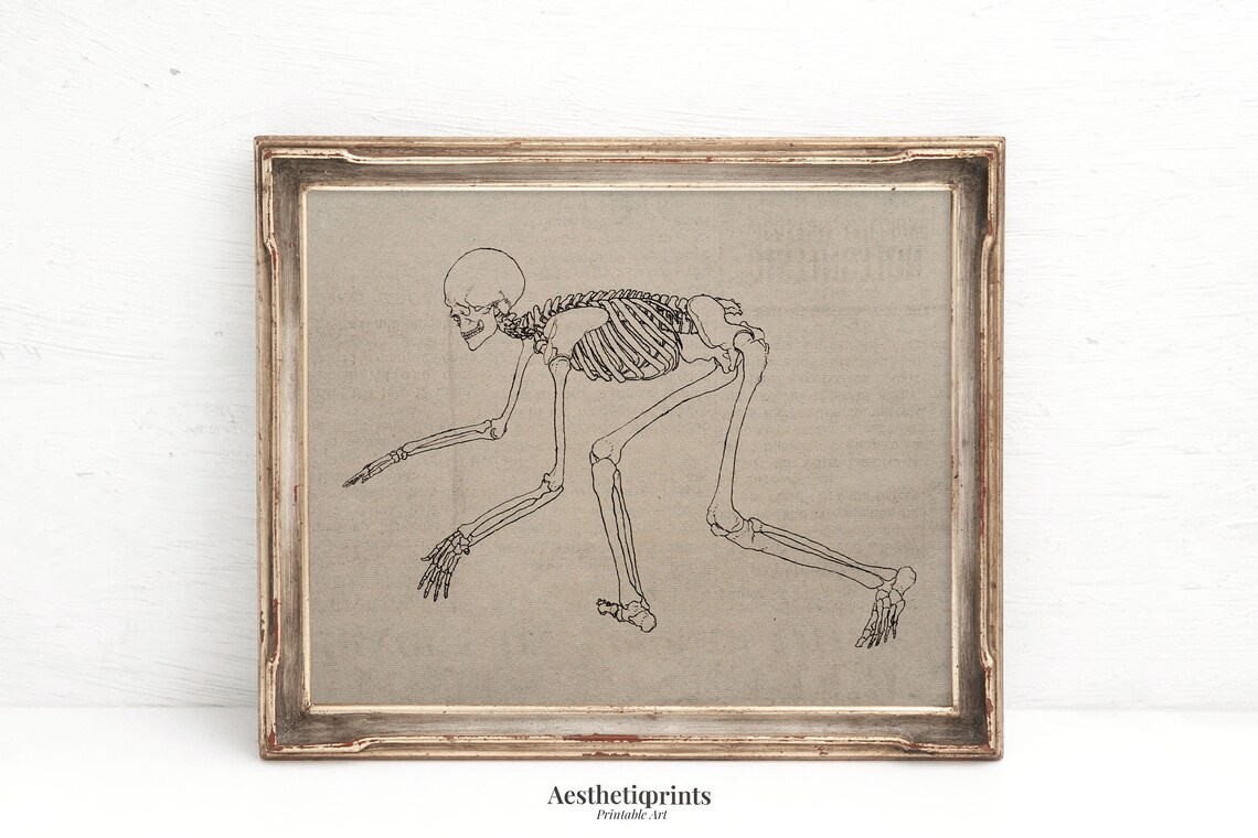 Antique Human Skeleton Art Printable, Vintage Anatomy Wall Art, Dark ...