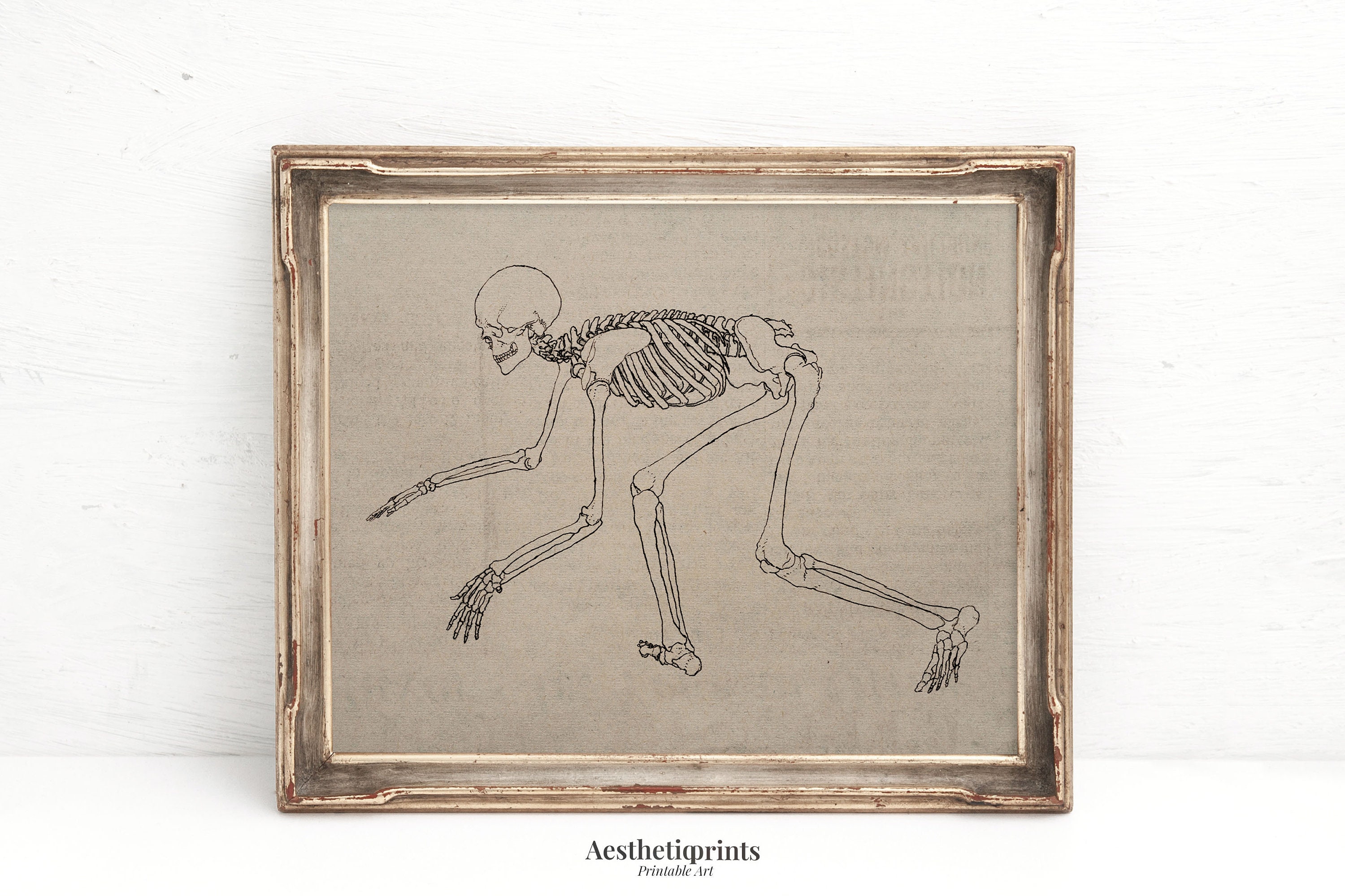 Antique Human Skeleton Art Printable, Vintage Anatomy Wall Art, Dark ...
