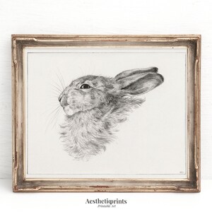 May include: A framed pencil sketch of a rabbit's head in profile. The artwork is in a distressed, light-colored wooden frame. The rabbit's fur is detailed with shading, and the whiskers are visible. The text "Aestheticprints Printable art" is at the bottom.