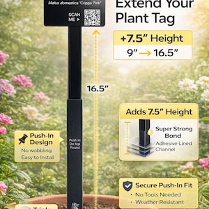 May include: A white ceramic mug with a black handle and the text "But First, Coffee" in a black, bold font. The mug is on a white surface.