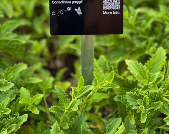 Midwest to Northeast U.S. Laser Engraved Aluminum Plant Markers: Scan & Discover Plant Info Instantly! USDA Hardiness Zones 5b - 7a