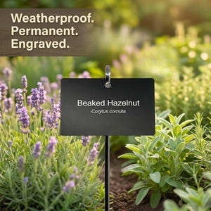 May include: A rectangular black garden plant marker featuring the engraved white text Beaked Hazelnut and the botanical name Corylus cornuta. The marker is attached to a thin metal stake and includes the text Weatherproof. Permanent. Engraved.