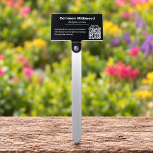 May include: A black rectangular plant marker with white text reading Common Milkweed, Asclepias syriaca, and information about monarch butterflies, hummingbirds, and bees. It features a QR code and a silver metal stake attached with a rivet.