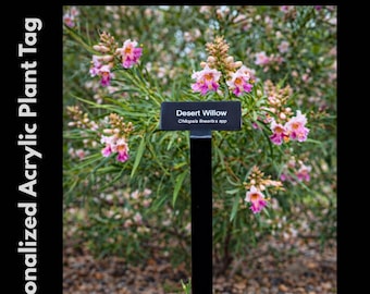 Personalized Acrylic Plant Tag with Stake: Engraved Garden Marker | UV Resistant
