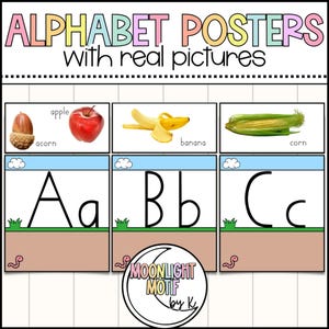 Op de afbeelding: Alfabetposters met echte afbeeldingen. De afbeelding toont kleurrijke educatieve posters met de letters A, B en C. Elke letter wordt gecombineerd met een afbeelding: eikel, appel, banaan en maïs. De posters zijn ontworpen voor educatieve doeleinden.