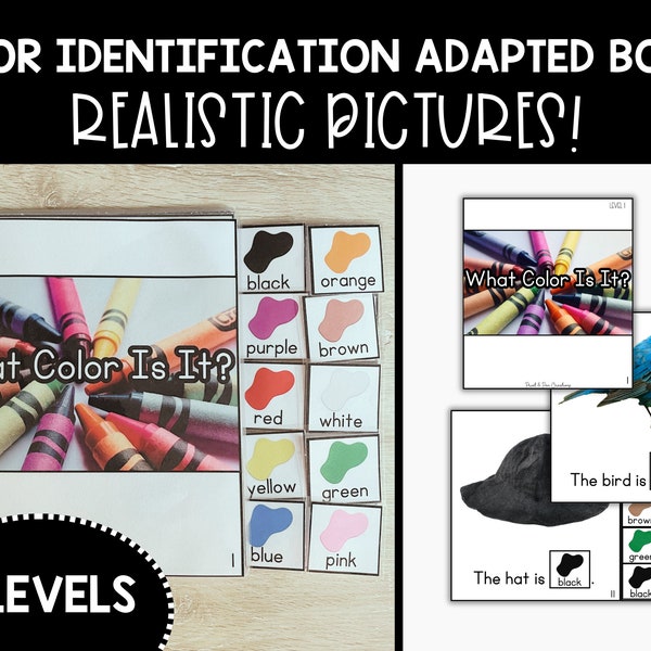 Color Identification Adapted Book, Special Education Resources, Adapted Books for SPED, Teaching Supplies, Differentiated Readers