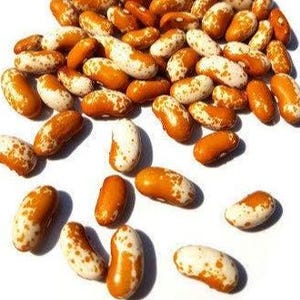 Könnte beinhalten: Ein Haufen gesprenkelter Bohnen, die eine Mischung aus beige und weißen Farben aufweisen. Die Bohnen sind auf einer weißen Oberfläche verstreut, wobei einige scharf und andere leicht unscharf sind.