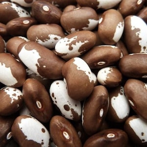 Könnte beinhalten: Nahaufnahme eines Haufens brauner und weißer Bohnen. Die Bohnen weisen ein gesprenkeltes Muster aus Braun und Weiß auf, wobei die braune Farbe dominiert. Die Bohnen sind oval geformt und scheinen trocken zu sein.