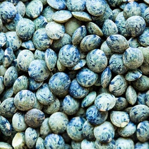 Könnte beinhalten: Eine Nahaufnahme eines Haufens blauer und grüner Linsen. Die Linsen sind klein und rund und haben ein geflecktes Aussehen.