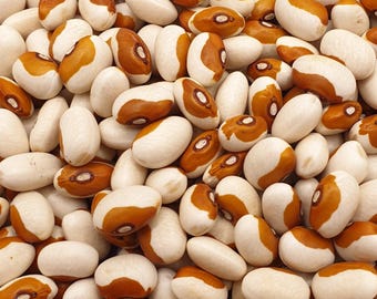 Raccolta Dei Fagioli A Cespuglio Verdi, Gialli E Porpora, Piselli - Foto 10