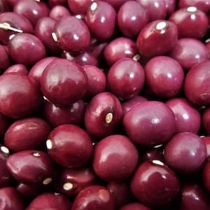 Könnte beinhalten: Nahaufnahme eines Haufens roter Kidneybohnen. Die Bohnen sind glatt und glänzend und haben eine leicht marmorierte Optik.
