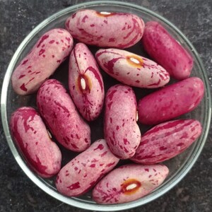 Bonbons bio