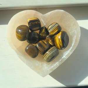 Tigers Eye Tumbles