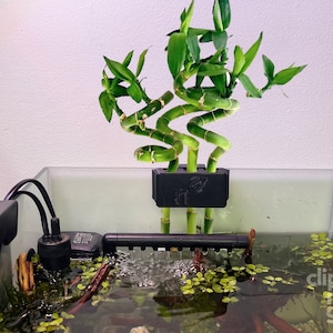 Clip&#39;N&#39;Grow BAMBOO (15 mm ステム) - ブラック - 水槽用増殖ホルダー - 水生植物の安全な増殖ソリューション