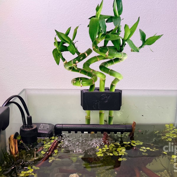 Clip'N'Grow BAMBOO (15mm Stem) - BLACK - Aquarium Propagation Holder - Secure Propagation Solution for Aquatic Plants