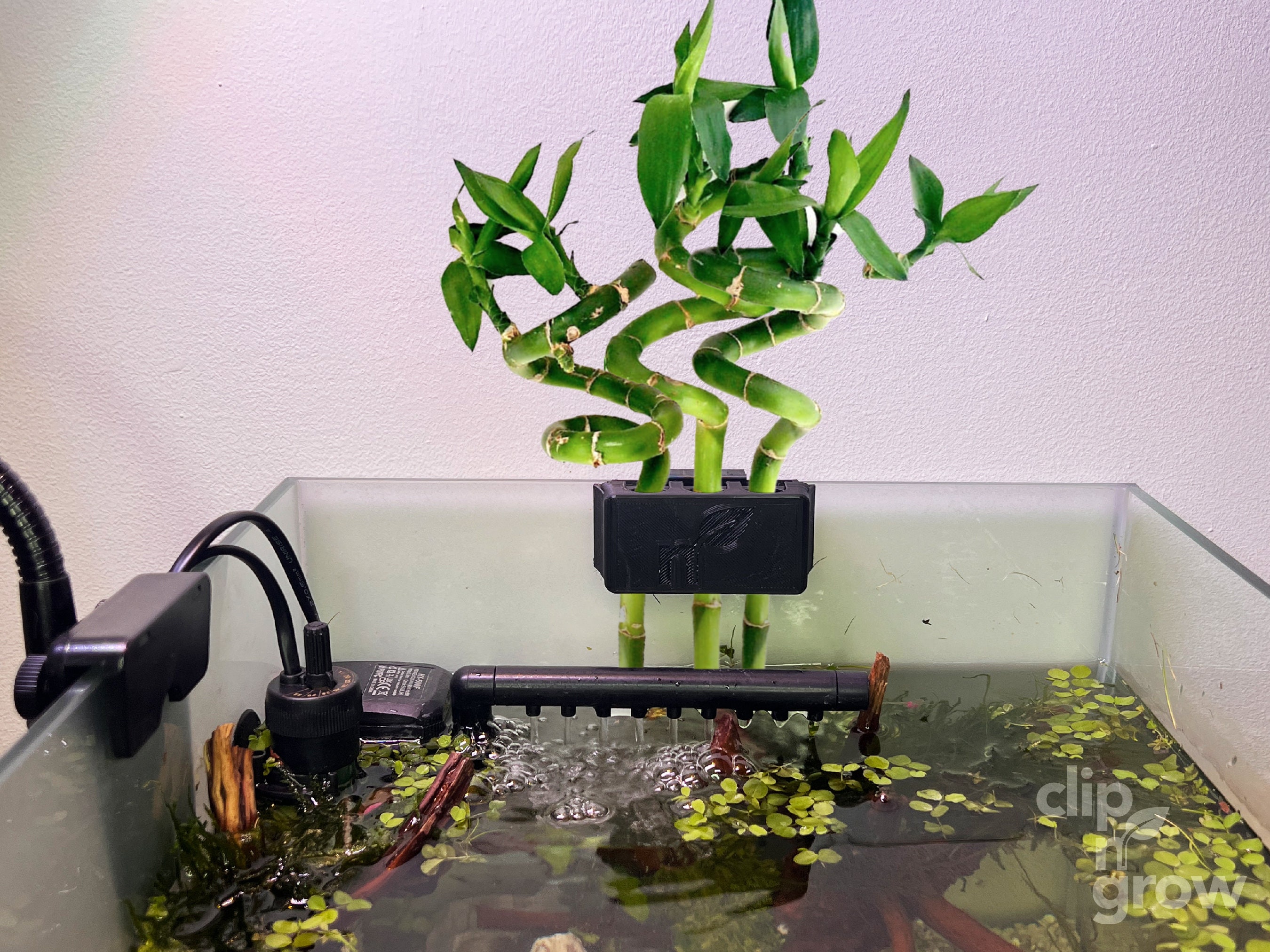 8 Stück Aquarium-Pflanzenhalter Aus Transparentem Glas – Mit Saugnapf, Für Wasserpflanzen, Aquascaping & Deko, 8 X 8 X 5,7 Cm
