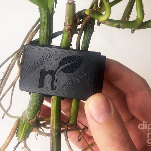 Clip'N'Grow TRIO - RIMLESS - BLACK - Aquarium Propagation Holder - Secure Attachment Solution for Aquatic Plants