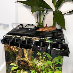 Clip&#39;N&#39;Grow SLIM - RIMLESS - BLACK - Aquarium Propagation Holder - Secure Attachment Solution for Aquatic Plants