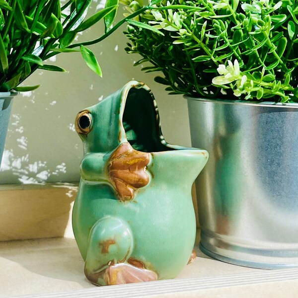 Frog Planter - Etsy