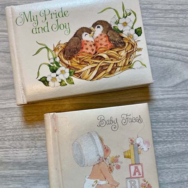 Two vintage photo albums . Retro photo storage. Grandma brag book