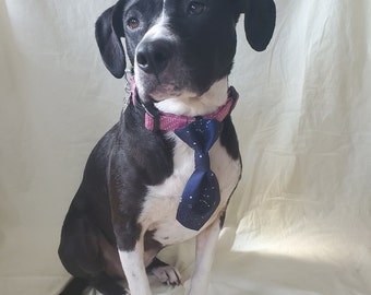 constellations dog necktie with velcro, cat necktie, dog tie for collar, dog gift, cat gift, pet accessory, slip on tie, necktie for collar